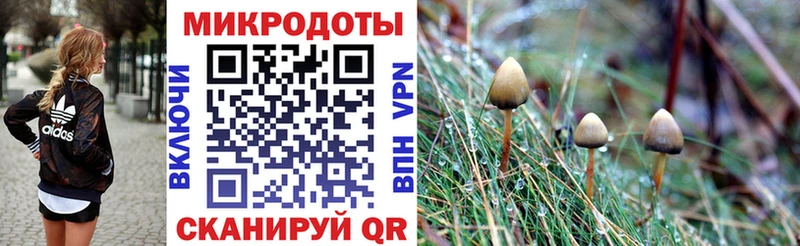 Псилоцибиновые грибы Psilocybine cubensis  Купить где  Краснозаводск 